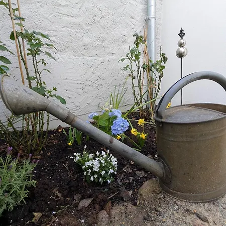 Lägenhet Altstadtflucht