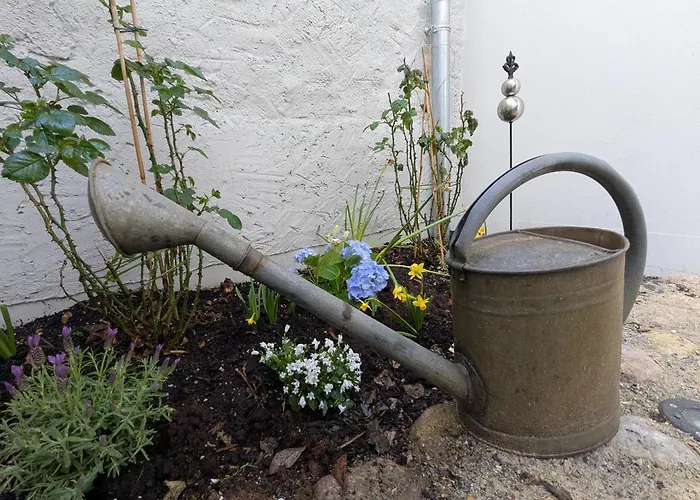 Lägenhet Altstadtflucht